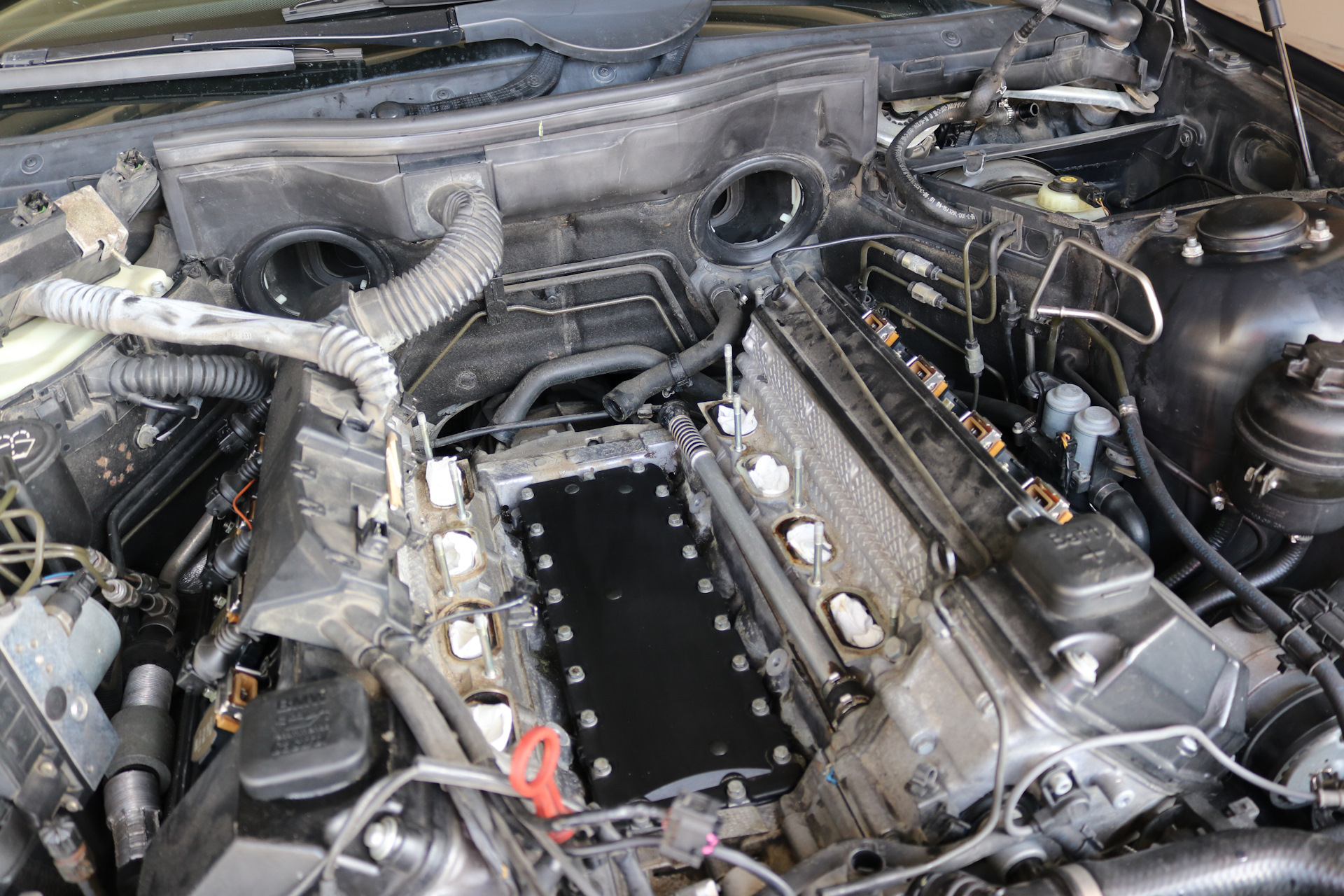 Поменял прокладку под впуском (Valley Pan Gasket) BMW E39, M62TU — BMW