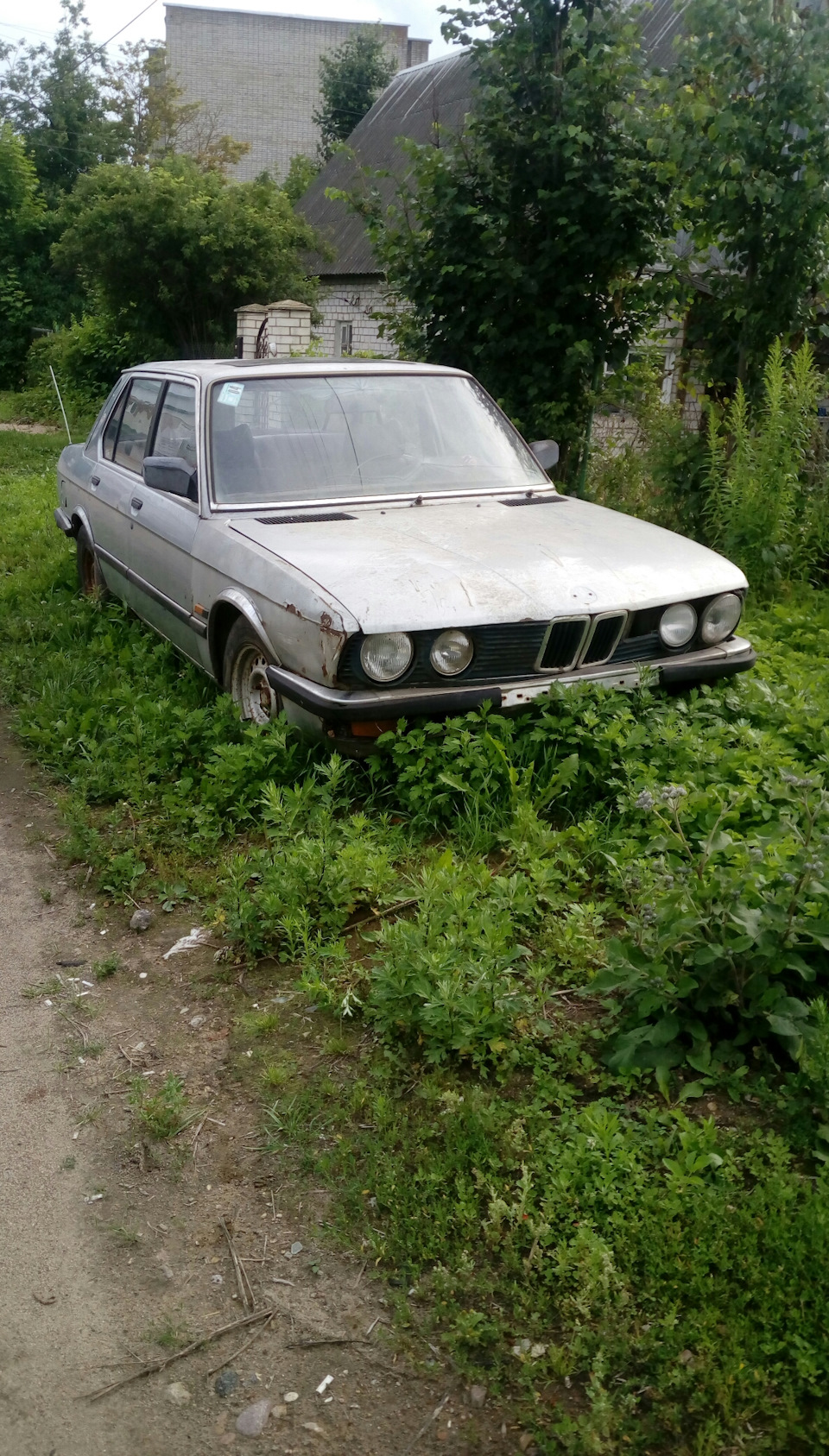 Пост для тех, кто решил купить старую БМВ — BMW 5 series (E28), 2 л, 1983  года | наблюдение | DRIVE2