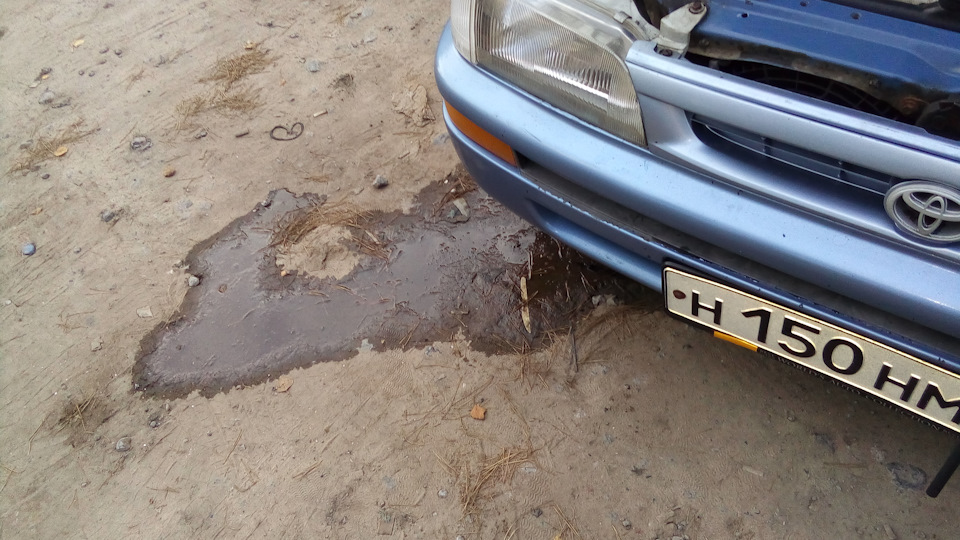 Фото в бортжурнале Toyota Corolla (100)
