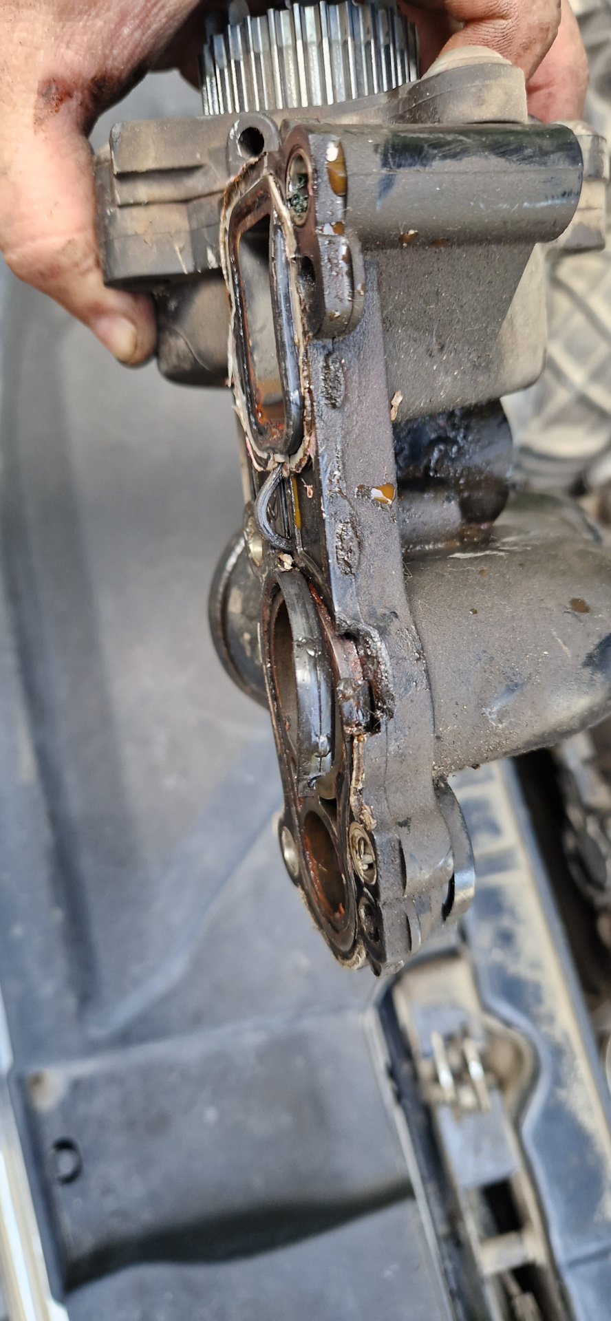 Течь антифриза из корпуса помпы — Audi A4 (B8), 1,8 л, 2010 года ...