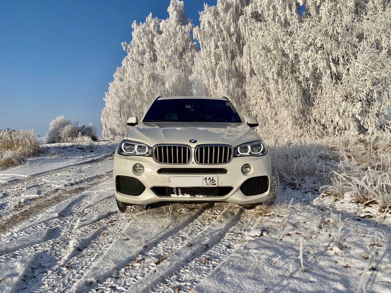 M m зима. BMW x5m зимой. БМВ x5 фото зимой. BMW x5 2016 зима фотосессия я. BMW x5 зимние фото.