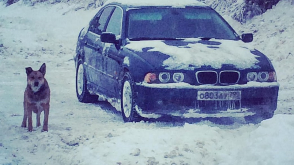 Нет тормоза, педаль проваливается в пол, утечка ТЖ — BMW 5 series (E39 ...