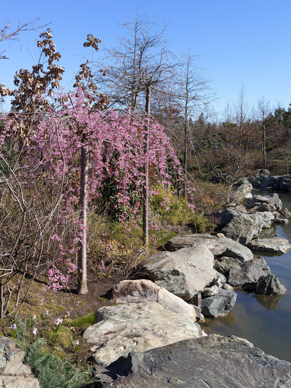 Фото в бортжурнале Nissan Qashqai (2G)