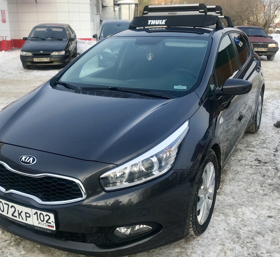 Kia Ceed ed черная крыша