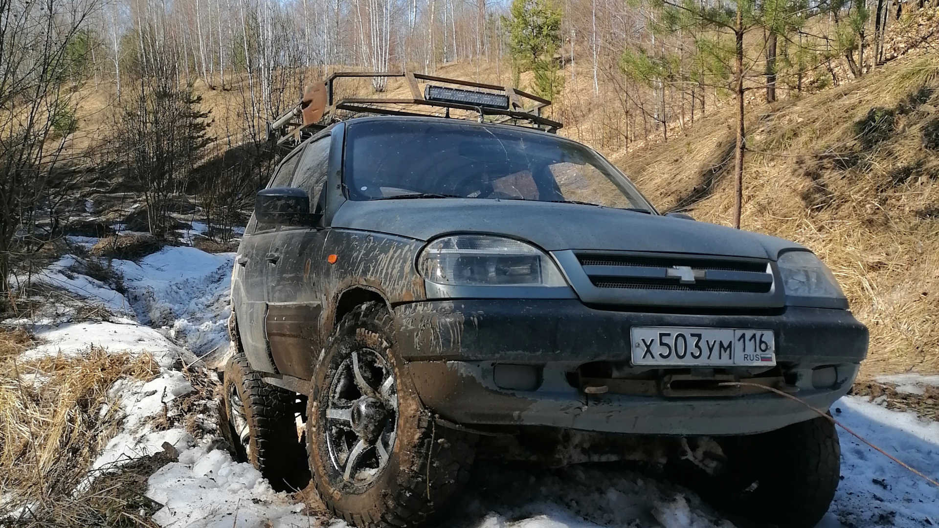 Chevrolet Niva 1.7 бензиновый 2006 | на DRIVE2