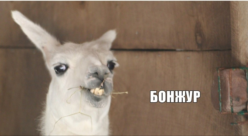 Большой ремонт. Холивар за кузов. Поход первый. - Isuzu Trooper (1G), 2,8 л, 198