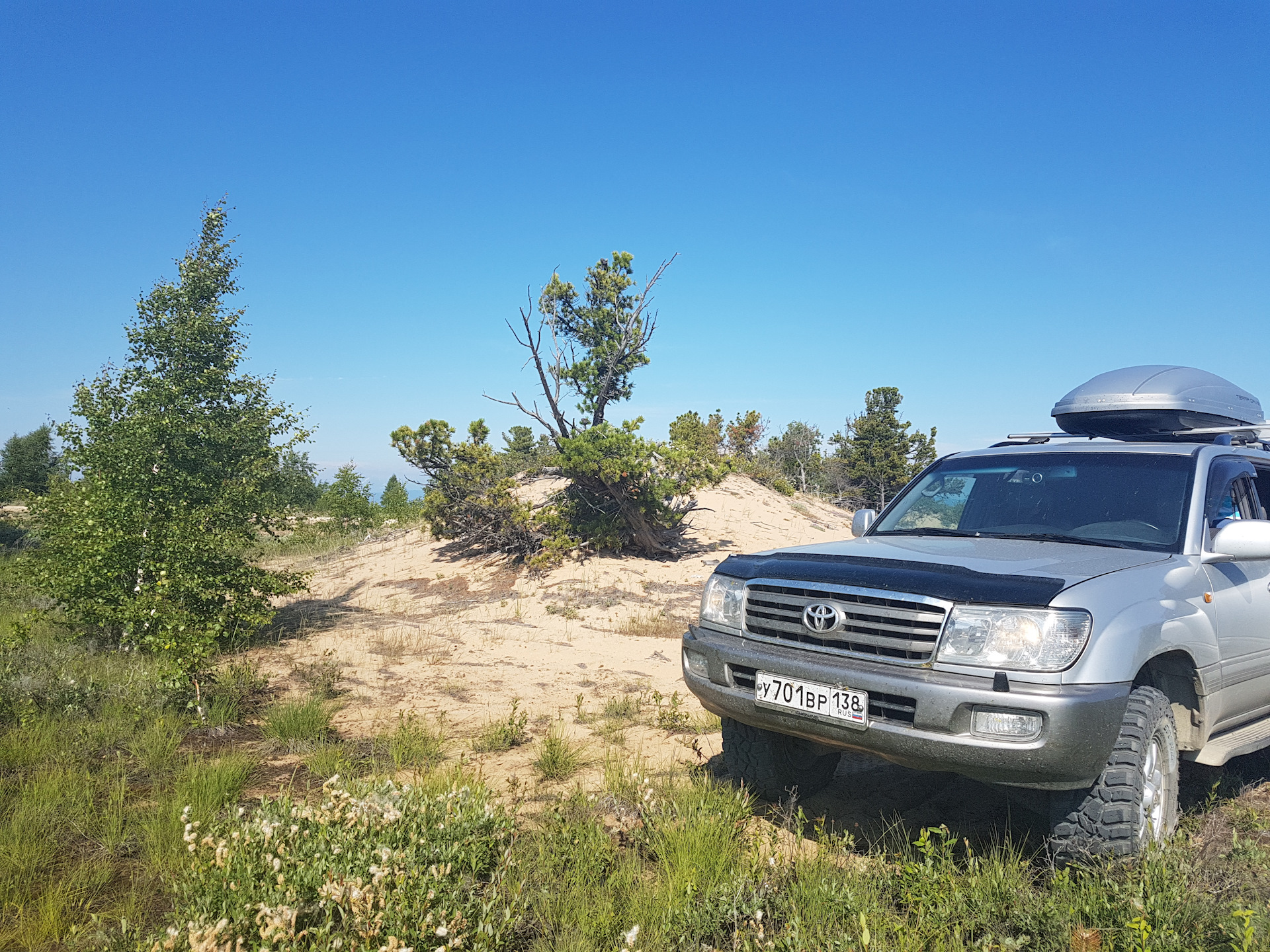 Усть-Баргузин. Байкал. Медведи и их гостепреимство. — Toyota Land Cruiser  100, 4,2 л, 2006 года | путешествие | DRIVE2