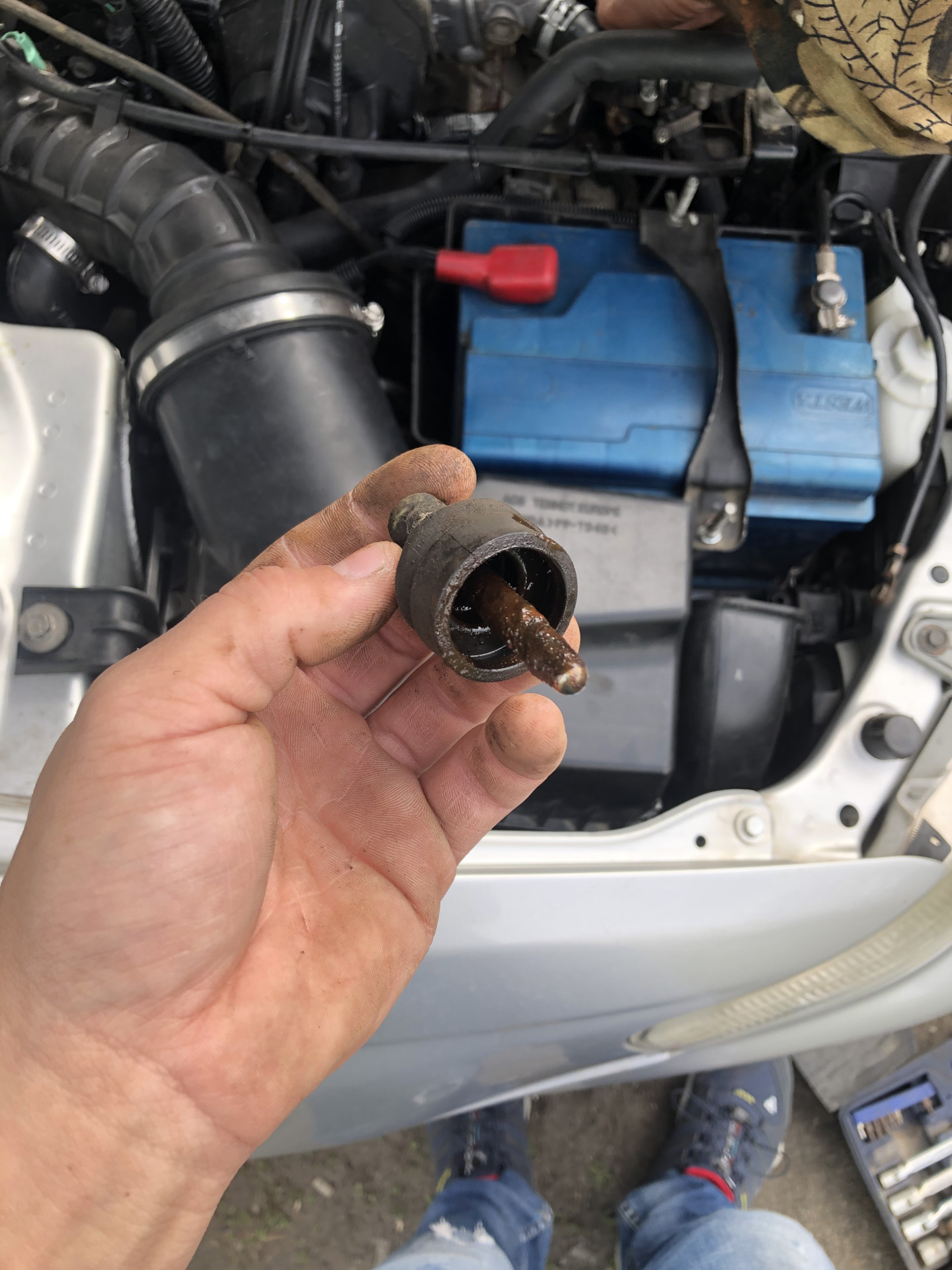 Сцепление 2.0. Закусывает педаль — Honda Accord (6G), 2 л, 1999 года ...