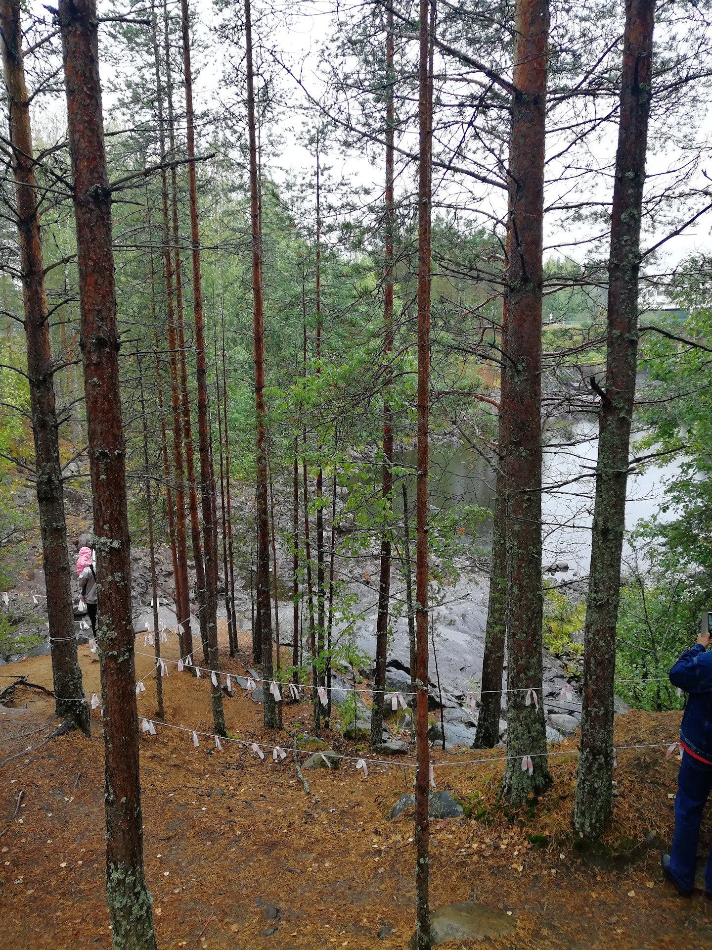 Путешествие Пермь — Карелия — Citroen C4 L, 1,6 л, 2014 года ...