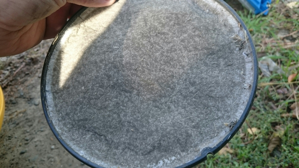 Фото в бортжурнале Daewoo Nexia