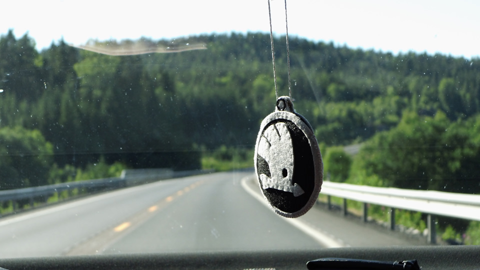 Skoda Octavia Грустный полицейский