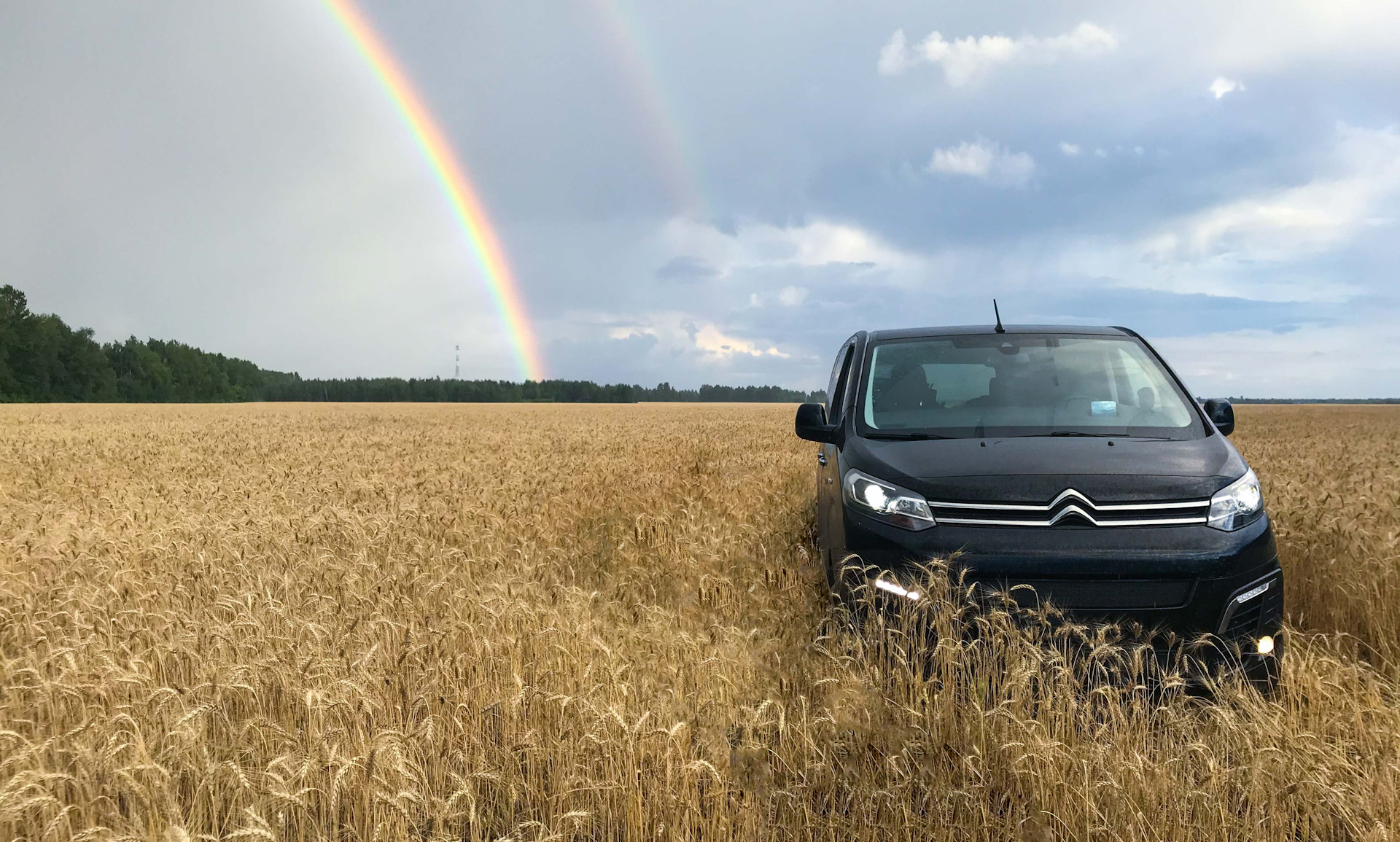 Обратная связь владельцев Citroen SpaceTourer и Peugeot Traveller — Citroen  Spacetourer, 2 л, 2018 года | наблюдение | DRIVE2