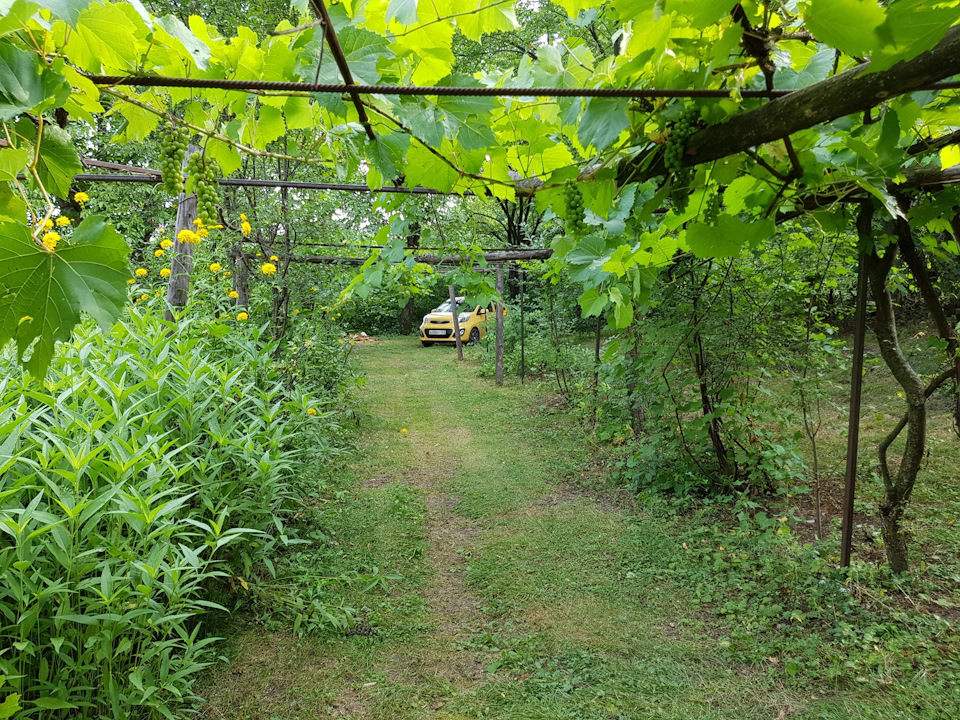 Не теряйте нас) — ГАЗ 31029, 2,5 л, 1993 года | просто так | DRIVE2