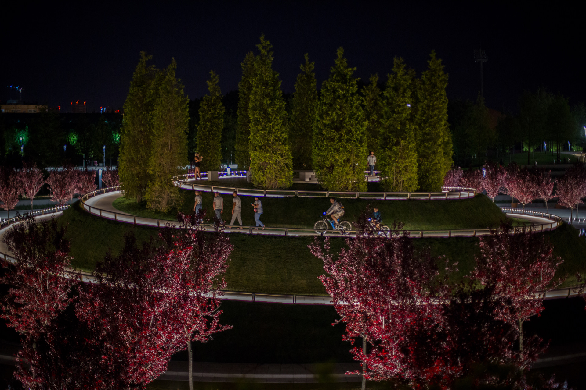 Вечерний парк галицкого в краснодаре фото