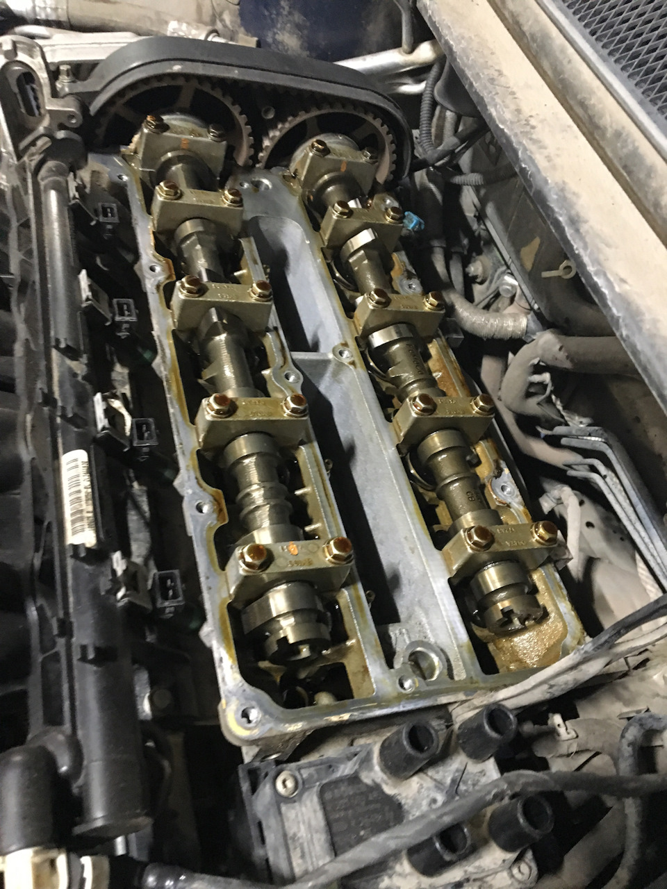 Замена ГРМ. Что под клапанной крышкой? — Ford Focus II Wagon, 1,6 л ...