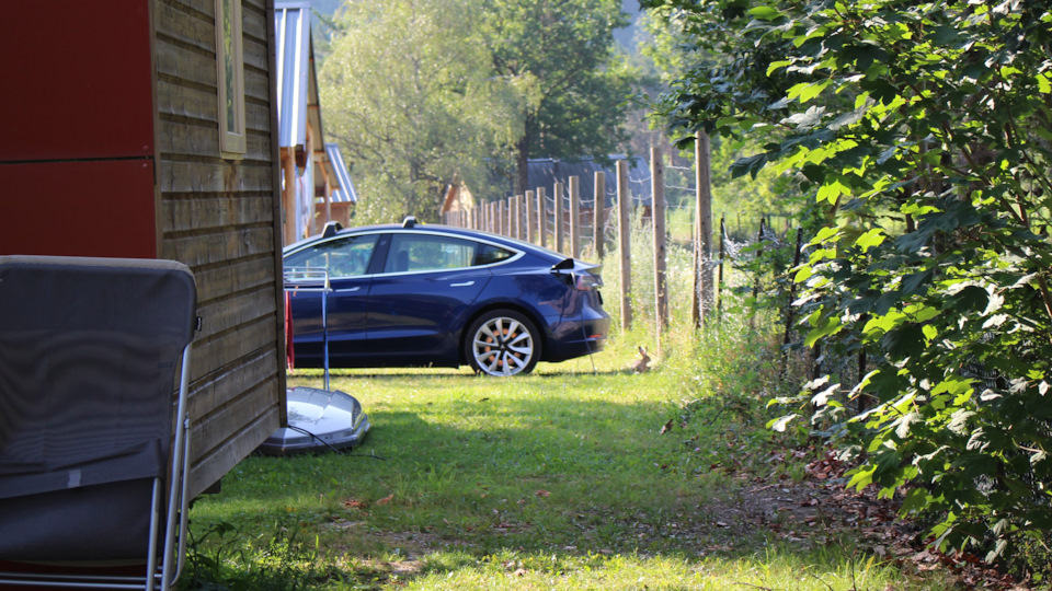 Самая экологичная фотография из всех. — Audi A4 (B9)