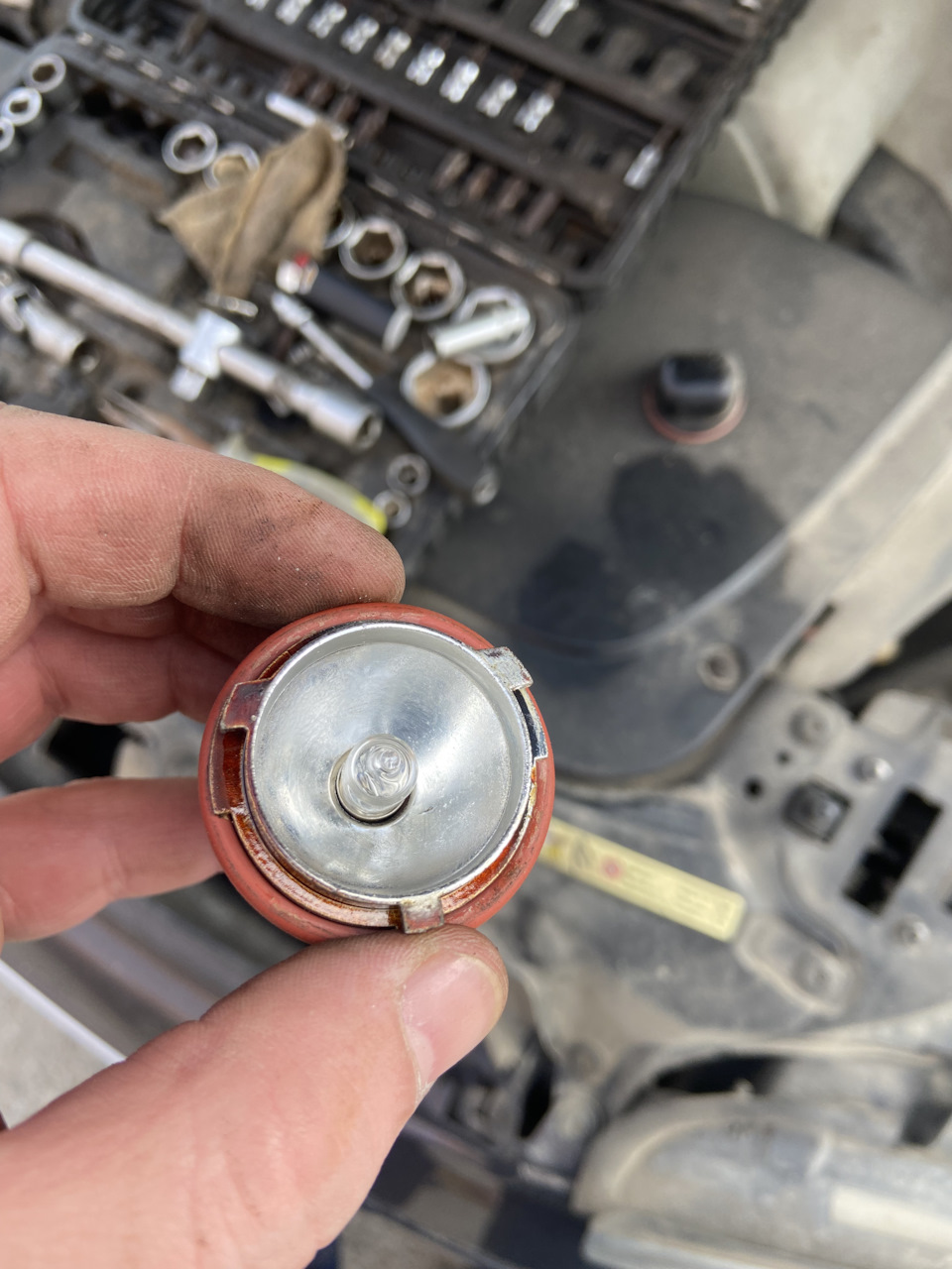 Замена ламп в ангельских глазках) — BMW 7 series (E65/E66), 3,6 л, 2003 ...