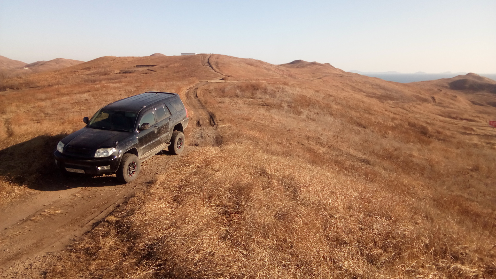Силиконовый чехол на ключ Vovlo S 40. — Volvo S40 (2G), 2,4 л, 2007 ...