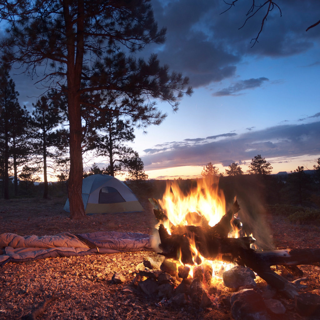 Лес лагерь палатка костер