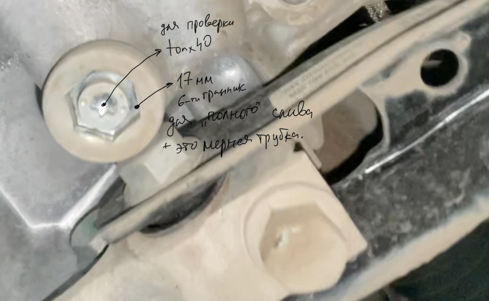 Для проверки atf необходимо отвернуть пробку torx-40. Далее при частичной замене отвернуть «пробку-мерный стакан» головкой со вставкой на 17. — Skoda Octavia A8 Mk4