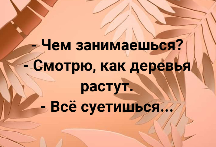 Смотрю как деревья растут все суетишься. Смотрю как деревья растут все суетишься картинка. Что делаешь смотрю как деревья растут все суетишься. Что делаешь смотрю как деревья растут все суетишься фото.