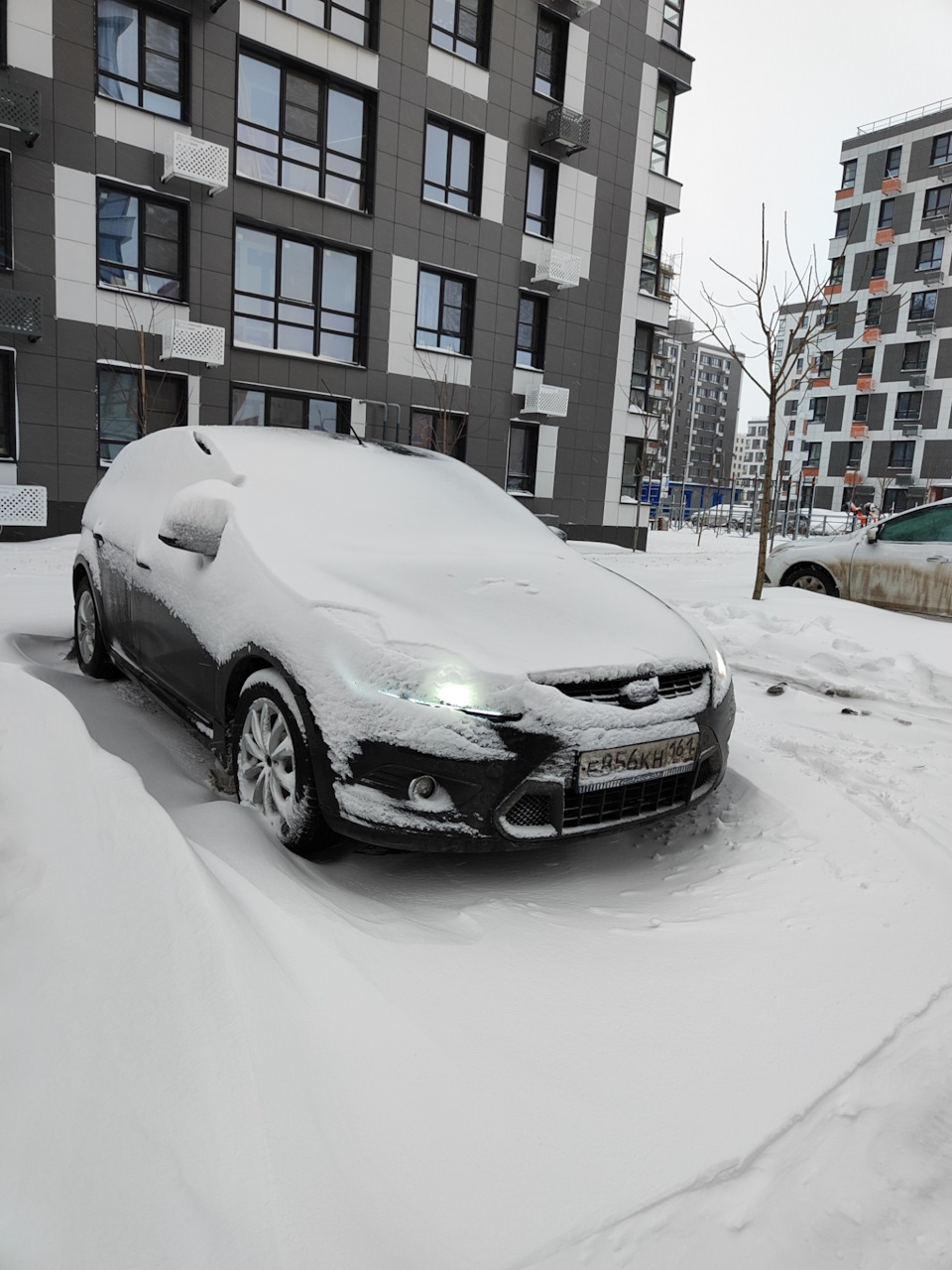 Подушки двигателя и коробки — Ford Focus Hatchback II, 2 л, 2009 года ...