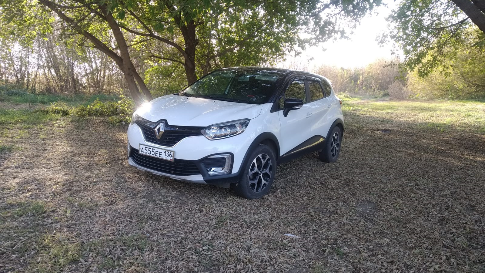 Renault Kaptur (2016) 2.0 бензиновый 2018 | Лягушонок от Кутюр на DRIVE2