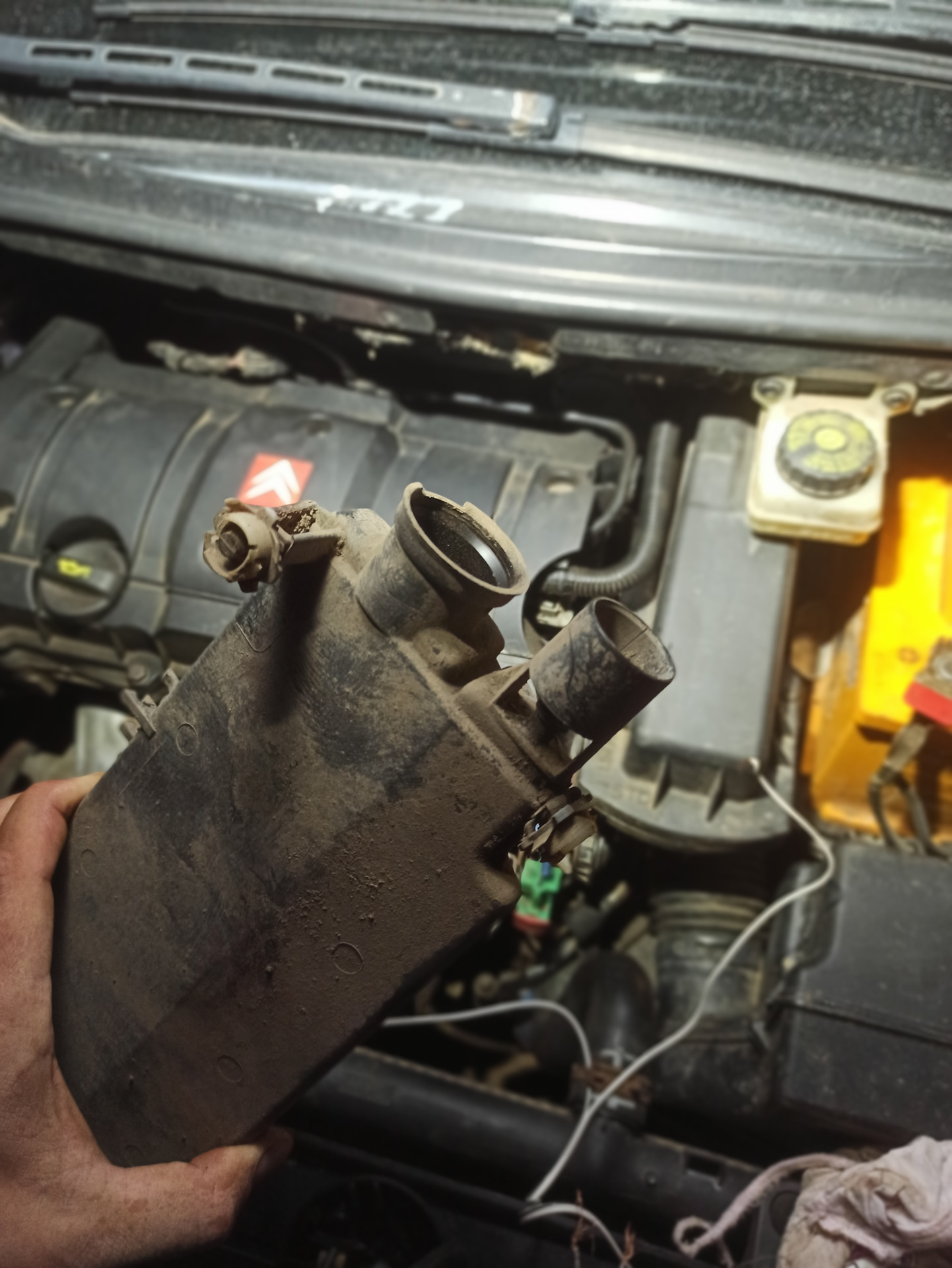 Вопрос по клапану адсорбера — Citroen C4 (1G), 1,6 л, 2005 года ...