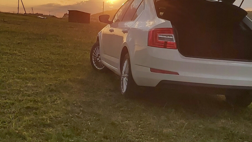 Skoda Octavia Холодильник стайл)