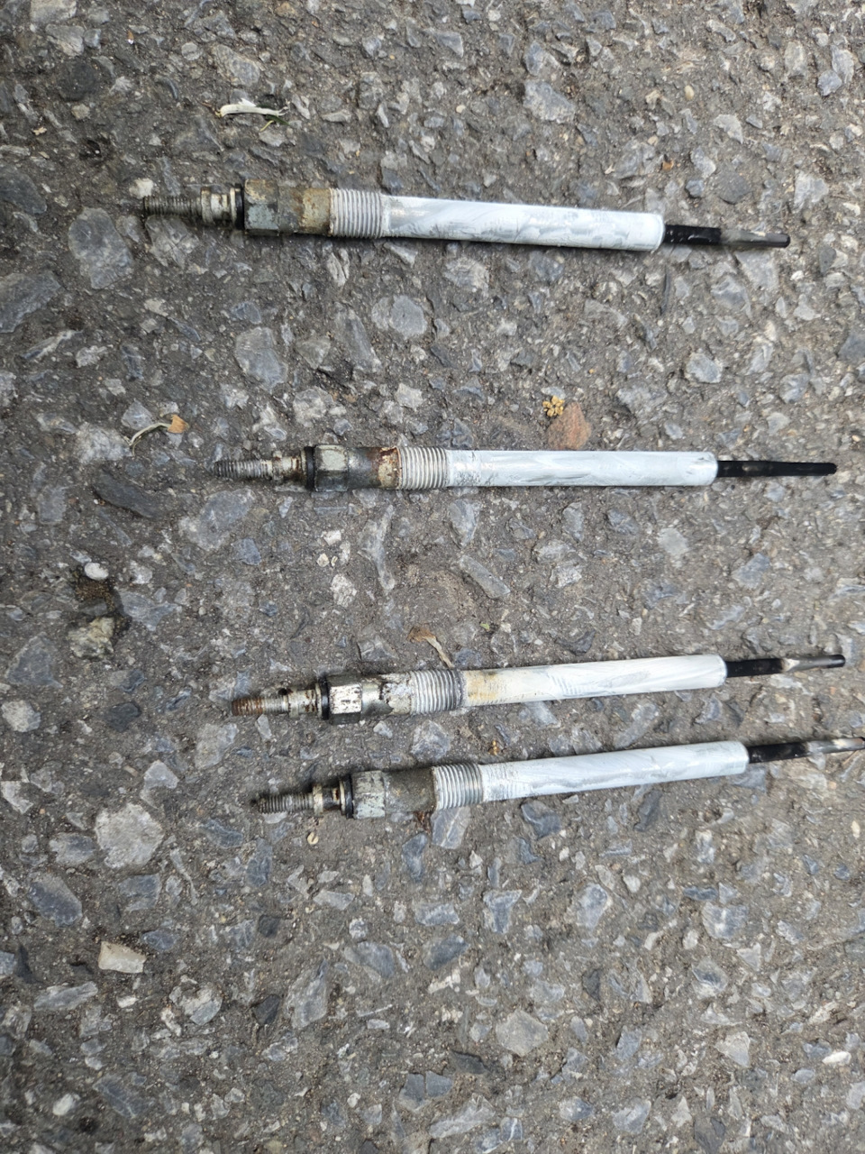 Фото в бортжурнале Ford Transit (8G)