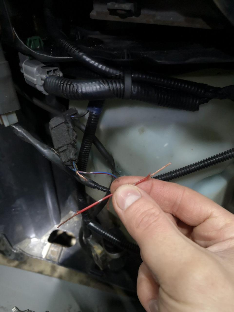 Фото в бортжурнале Honda Accord (7G)