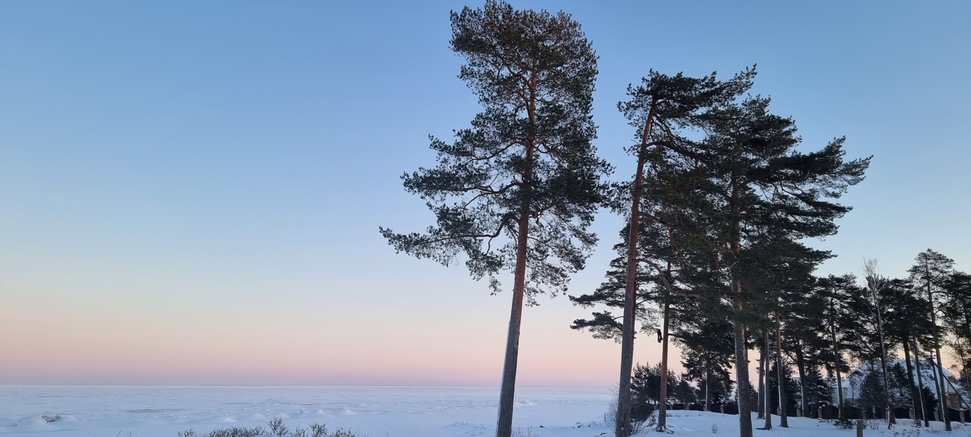 Каникулы в петербурге