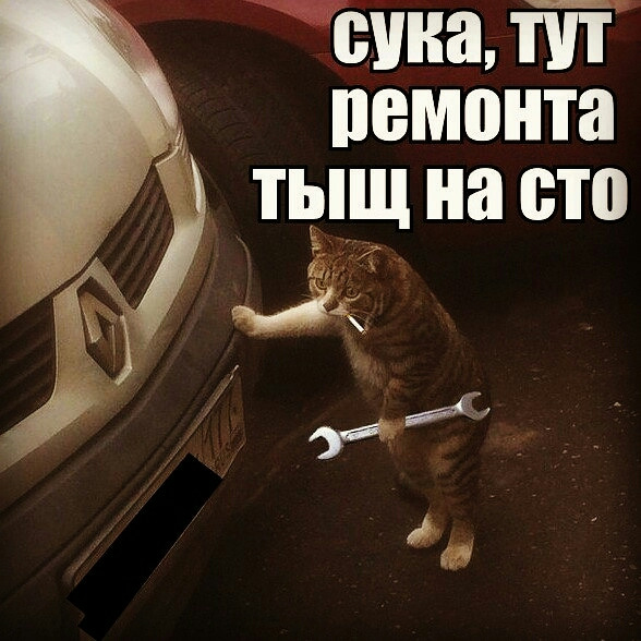 Кот с гаечным ключом и сигаретой мем