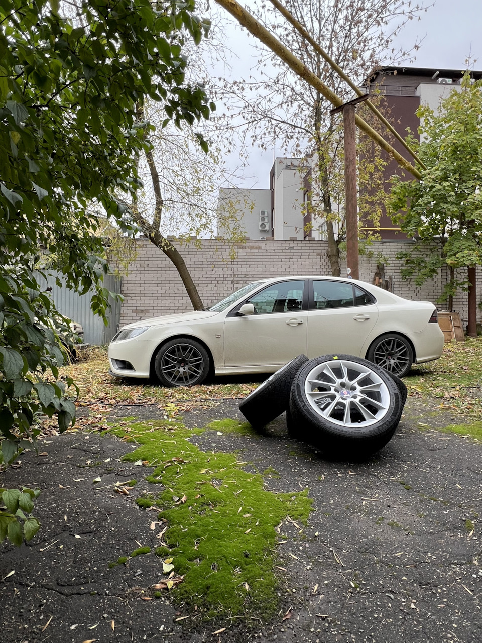 Осень пришла, зима скоро — Saab 9-3 (2G)