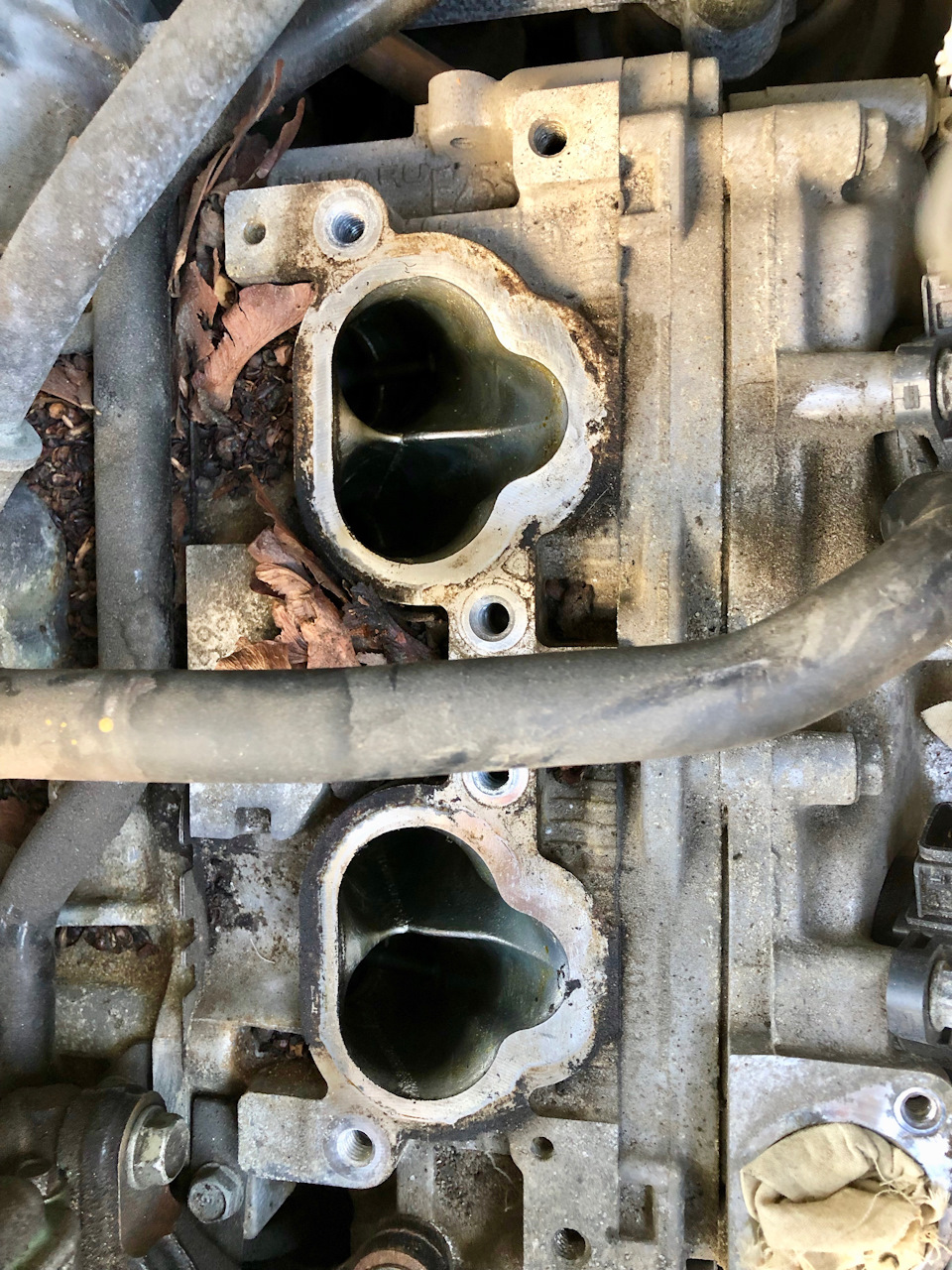 Фото в бортжурнале Subaru Outback (BR)