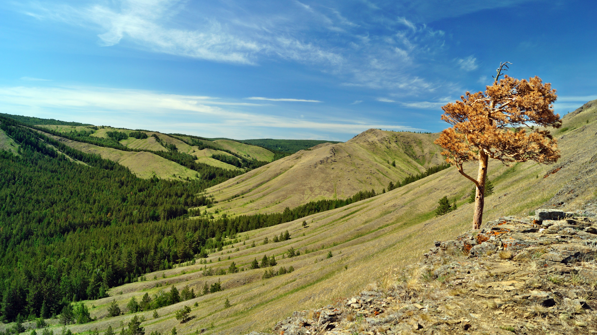 Хребет нурали фото