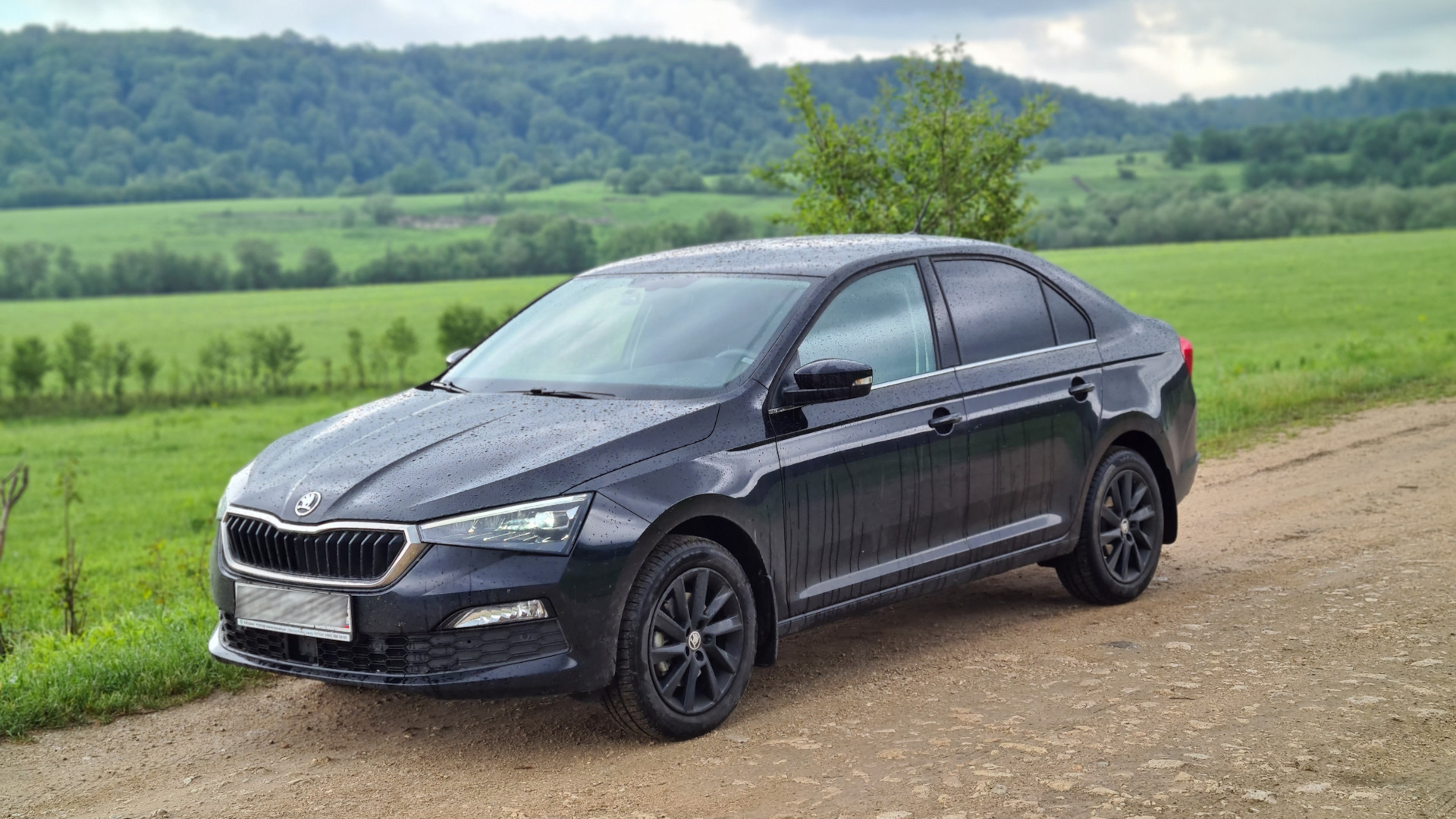 Skoda Rapid 2020 зеленая