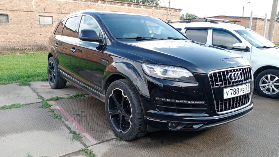 Audi Q7 Мурлыка