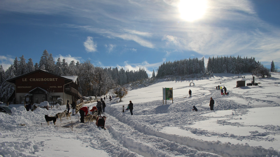 На собачьих упряжках я, пожалуй, добрался бы до вершины без проблем, не думая о том, что можно где-то застрять. — Audi A4 (B9)