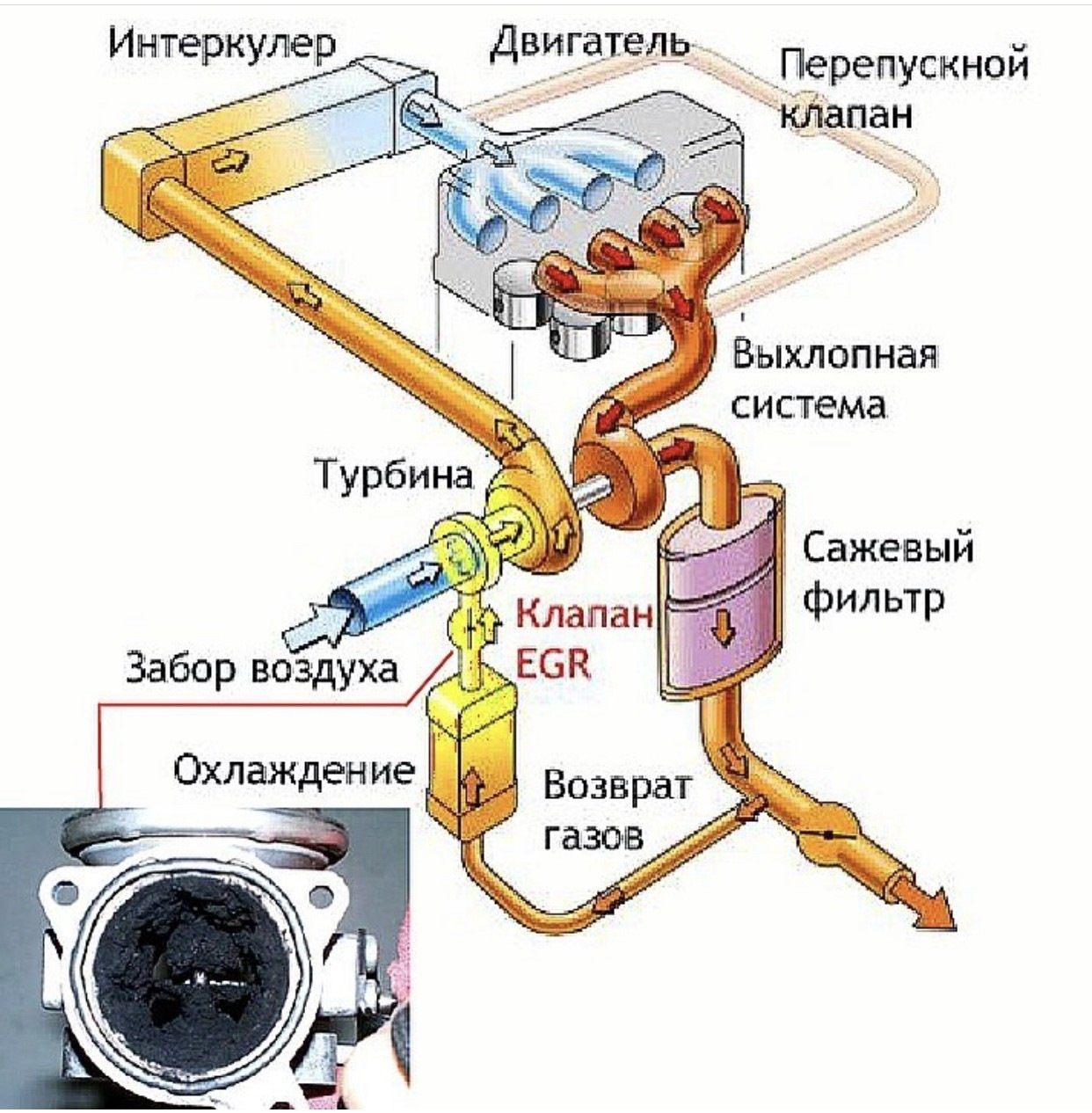 Принципы работы ЭБУ при управлении EGR