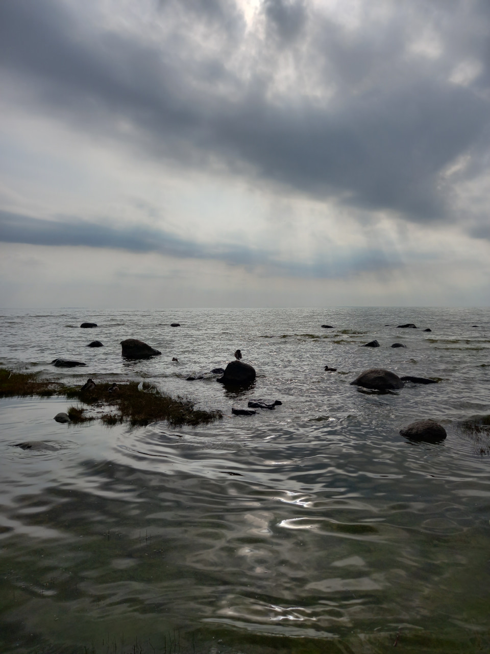 Фото в бортжурнале Renault Sandero 2G