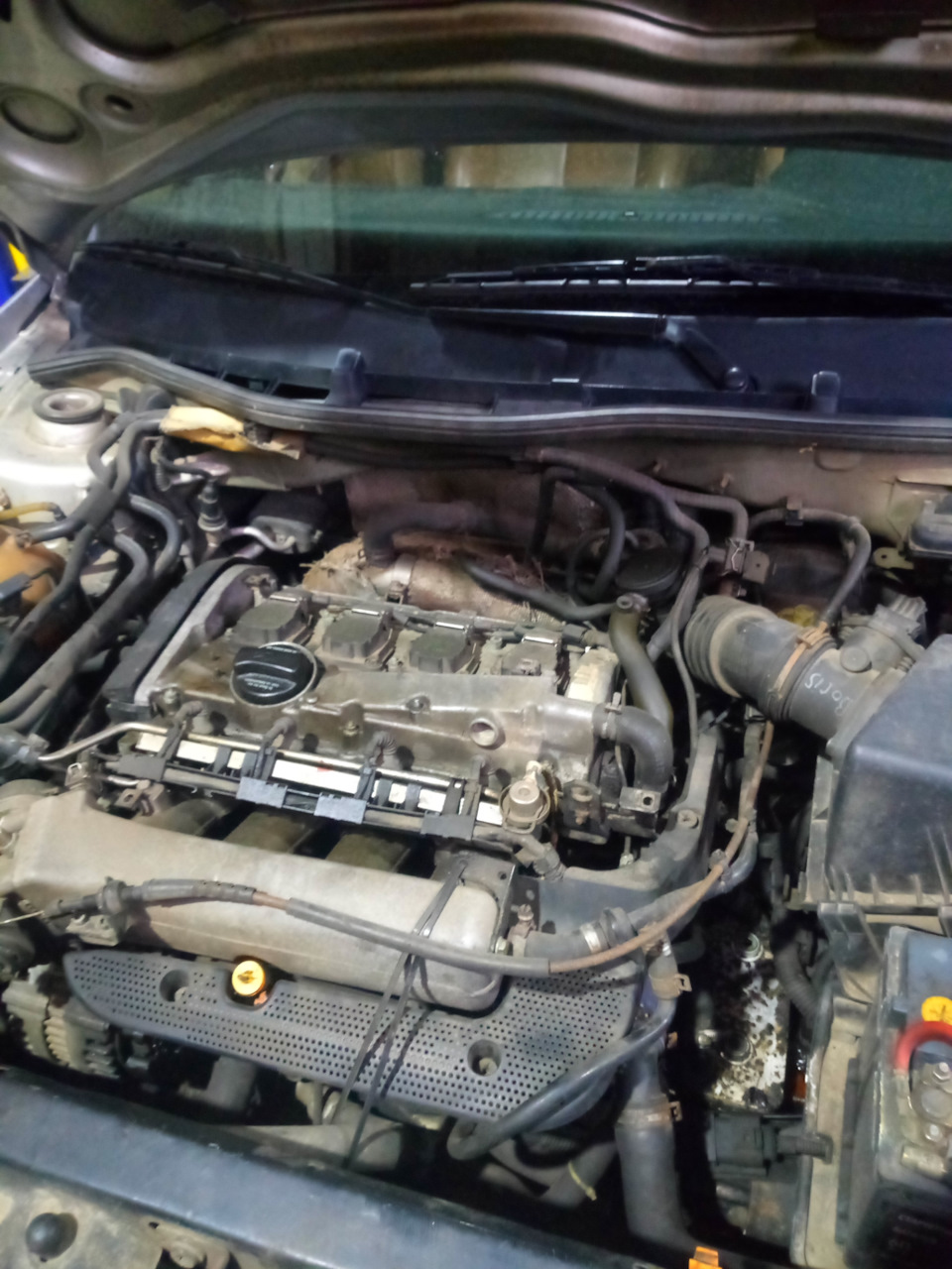 Фото в бортжурнале Skoda Octavia Combi A4 Mk1