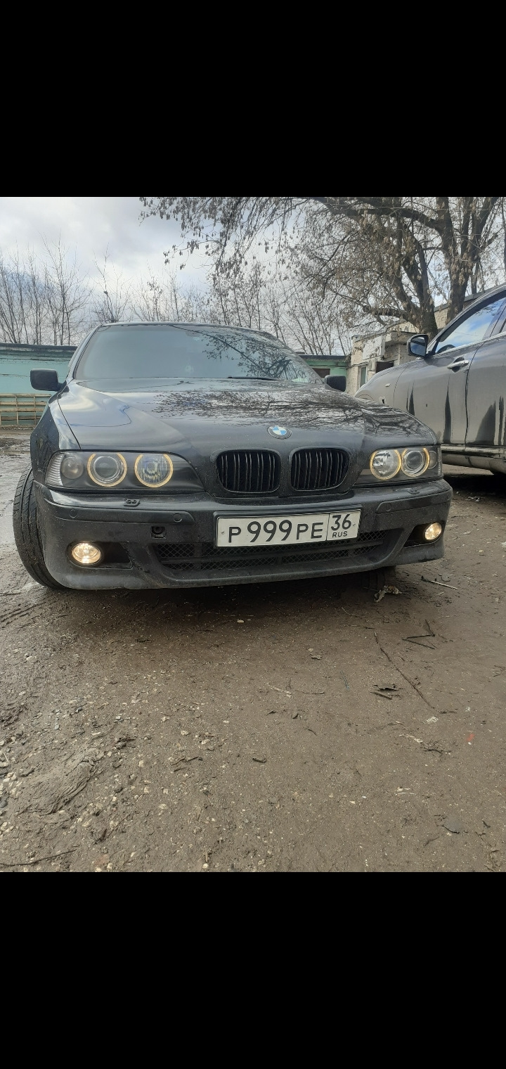 Птф и рамка номера для М бампера — BMW 5 series (E39), 3 л, 1997 года |  аксессуары | DRIVE2