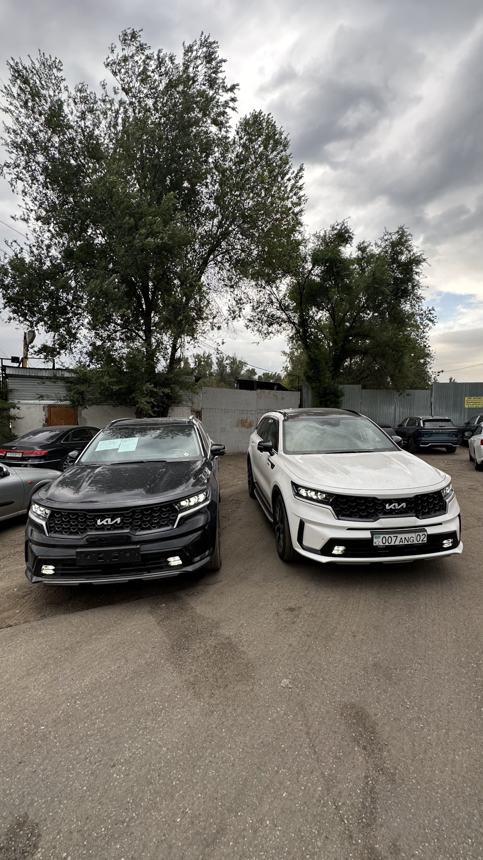 Заказ новой Sorento из Кореи — KIA Sorento (4G), 2,5 л, 2023 года | покупка  машины | DRIVE2