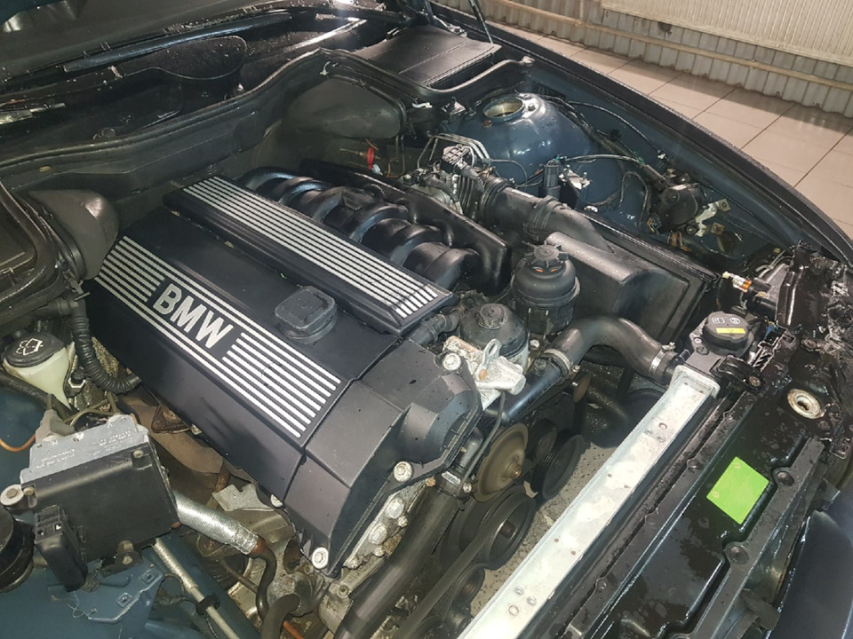 Замена жидкости в ГУР + промывка системы — BMW 5 series (E39), 2 л ...
