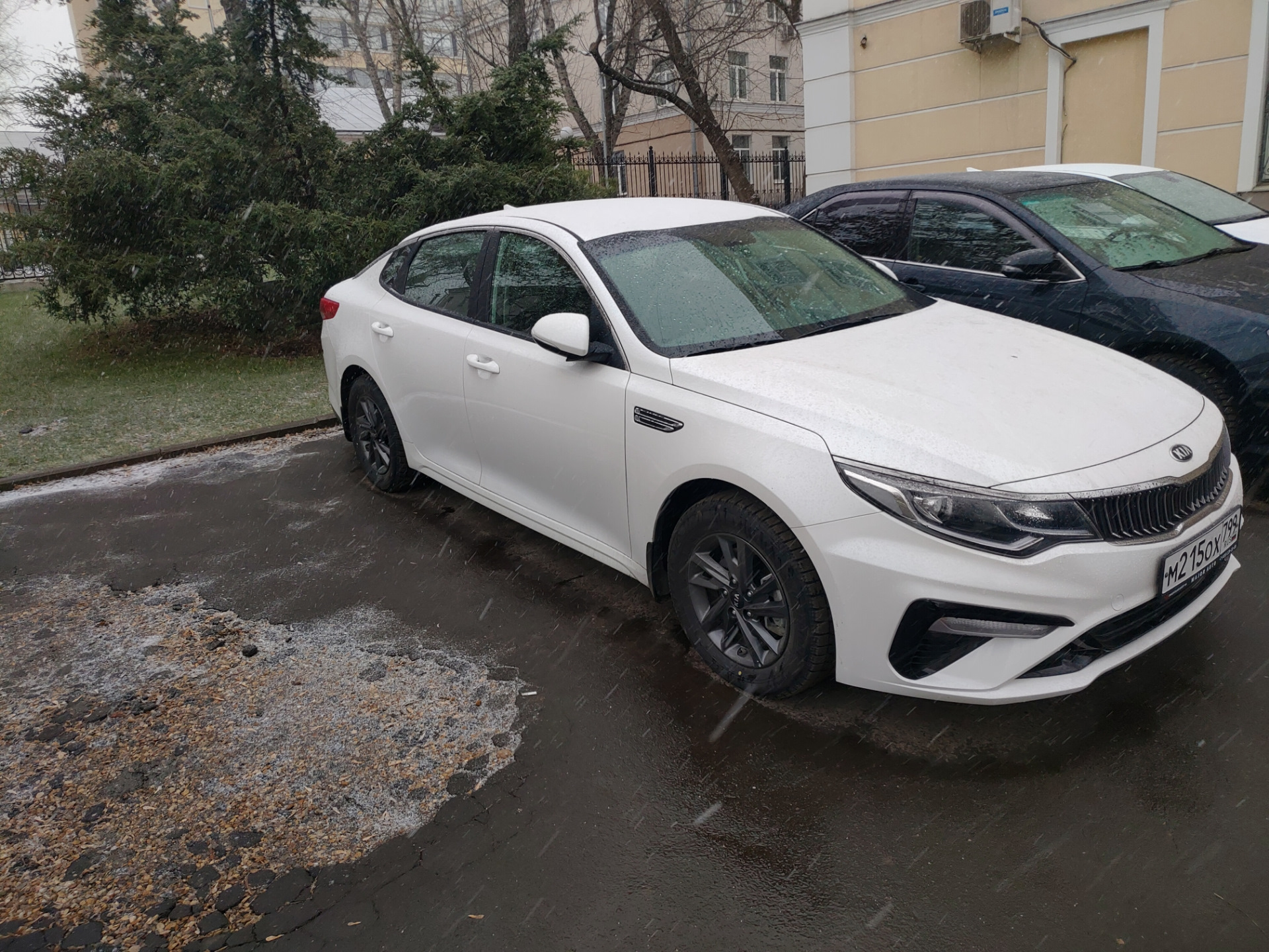 Оптима 2.4. Kia Optima Prestige 2019. Kia Optima 2019 2.0. Киа Оптима 2.4 2019 Престиж. Kia Optima 2019 Prestige 2.0.