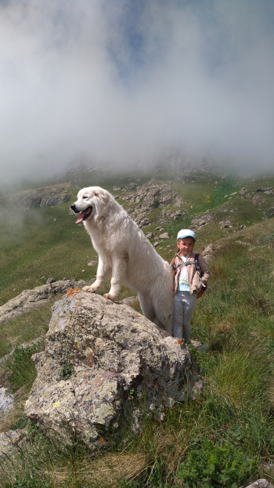 А щенок подрос. Весь отпуск надёжно охранял наш лагерь от нежданных гостей — Mitsubishi Pajero Sport (2G)