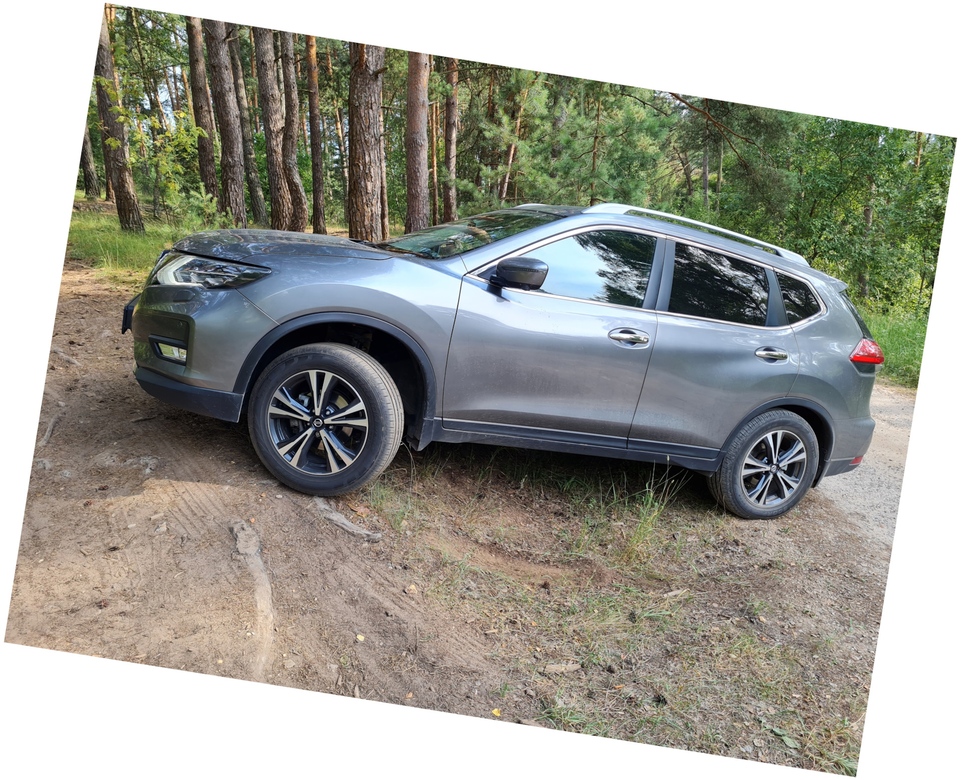 По дороге на рыбалку — Nissan X-Trail III (t32), 2 л, 2019 года |  фотография | DRIVE2