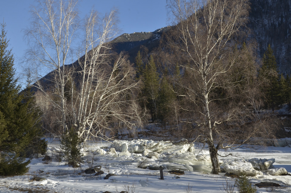 Фото в бортжурнале УАЗ Patriot