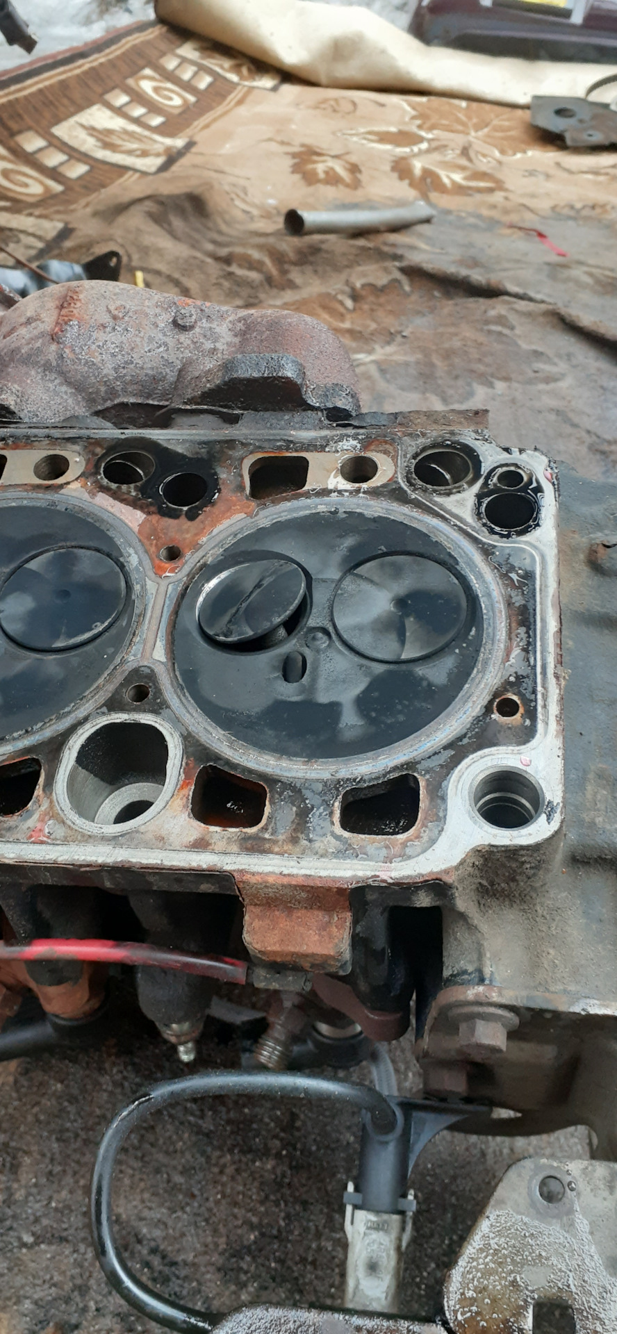 Фото в бортжурнале Ford Focus Wagon II